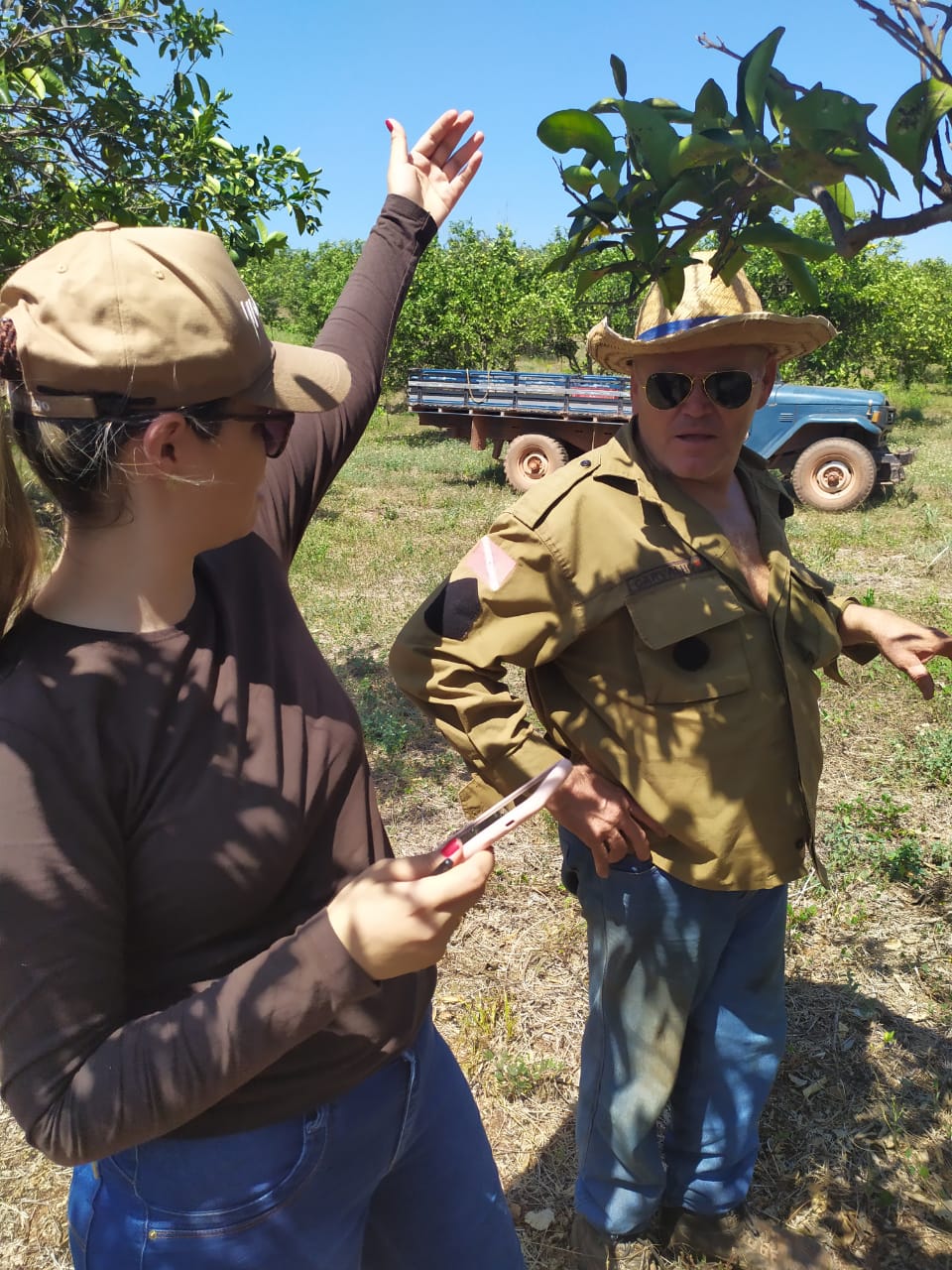 Monitoramento de Pragas